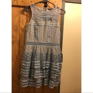 Blue lace mini dress.